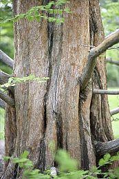 恐怖游戏《黑相集：之字路VR》新演示 3月16日发售